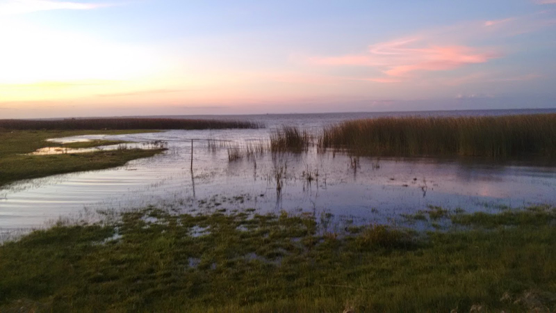 오리의 호수 - Lagoa dos Patos | Secret World Trip Planner