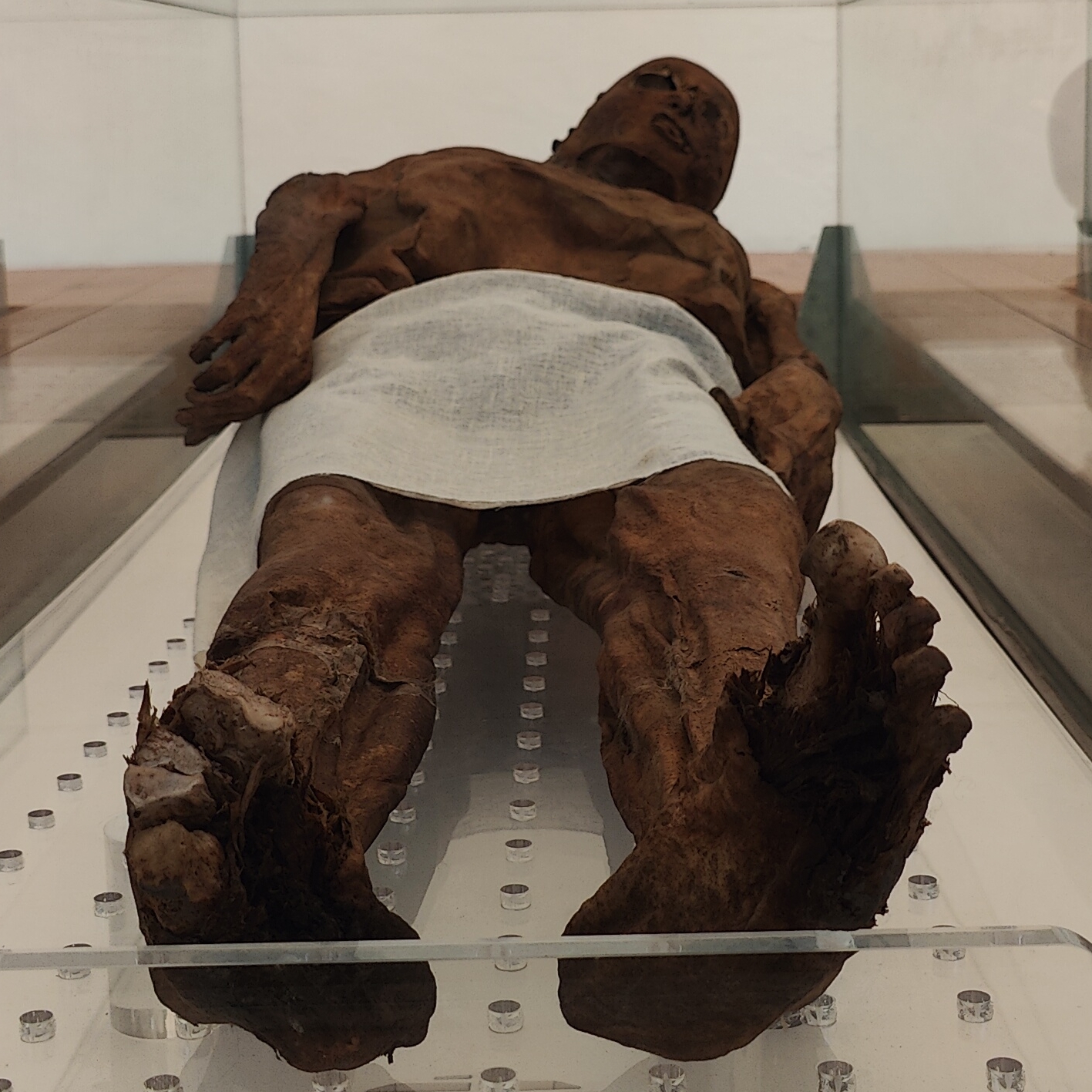 Mummie di Venzone - Venzone | Secret World Trip Planner