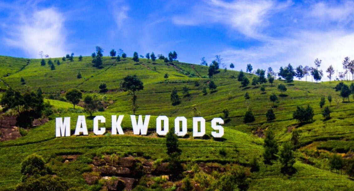 Museo del tè Mackwoods — Rambukkana
