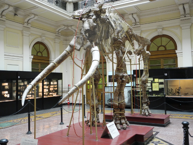 Museo Civico di Storia Naturale Giacomo Doria - Genova | Secret World Trip Planner