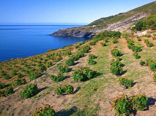 Zibibibbo - Pantellerìa | Secret World Trip Planner