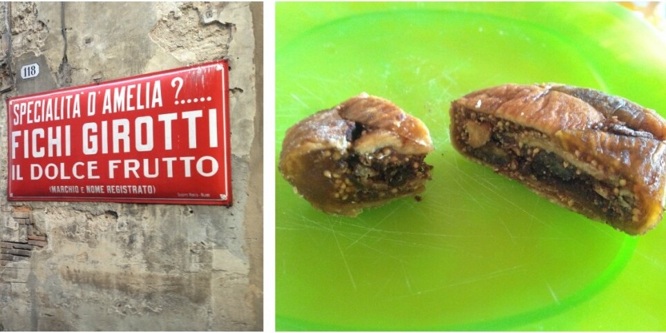 I fichi Girotti, prodotto tipico del comune di Amelia - Amelia | Secret World Trip Planner