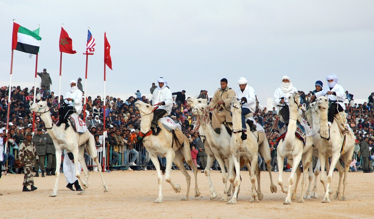 Tunisia | Douz, “la porta del deserto” - Douz | Secret World Trip Planner