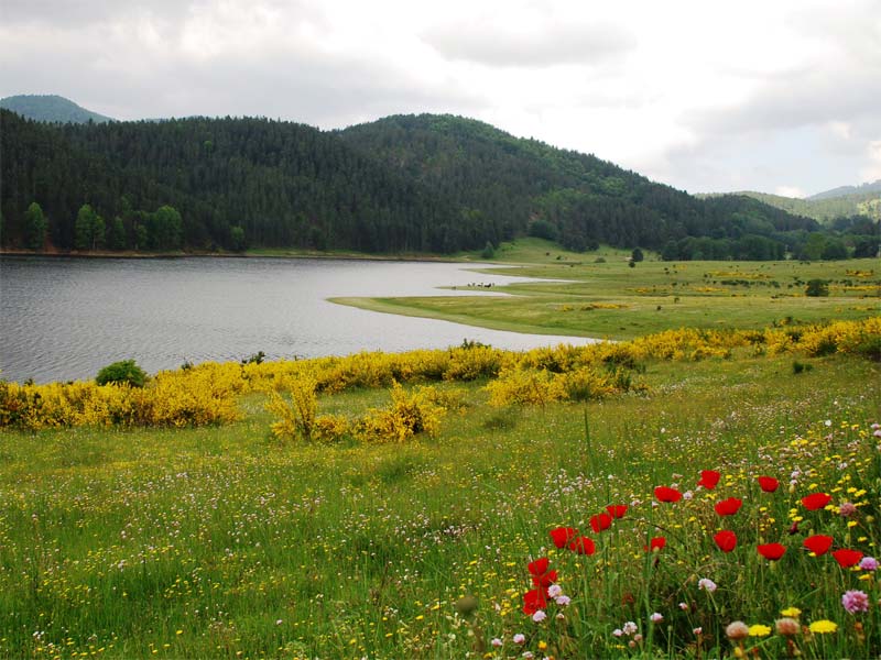 アンポリーノ湖 - Lago Ampollino | Secret World Trip Planner