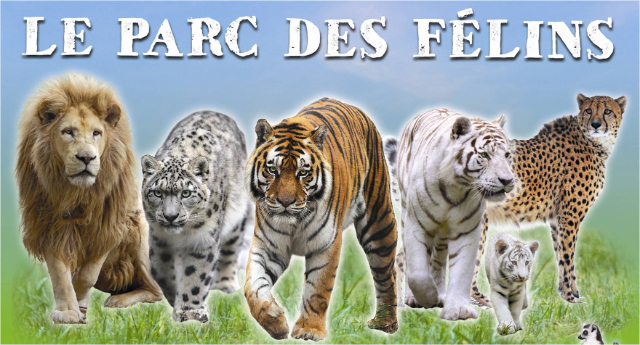 حديقة القطط - Lumigny-Nesles-Ormeaux | Secret World Trip Planner