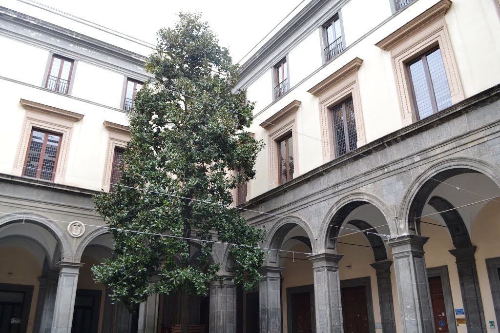 Palais Orsini de Gravina - Napoli | Secret World Trip Planner