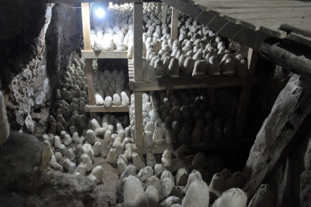 Roquefort-osthulerne - Roquefort-sur-Soulzon | Secret World Trip Planner