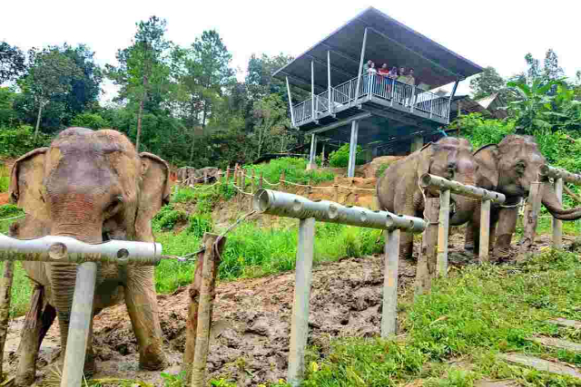 ChangChill Elephant Sanctuary - Tambon Mae Win | Secret World Trip Planner