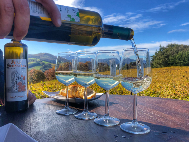 Vinho Txakoli - San Sebastián | Secret World Trip Planner