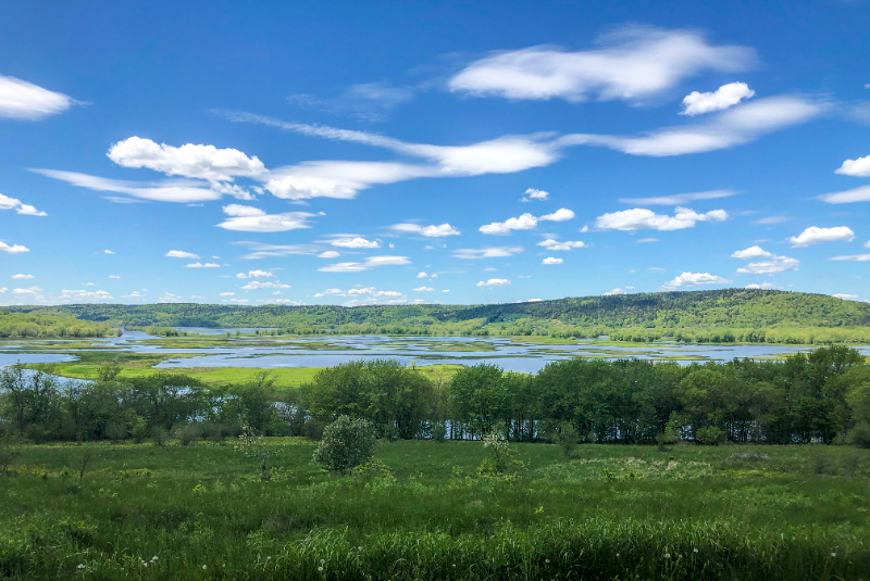 ಕ್ಯಾಸ್ಟಾಲಿಯಾ ಮಾರ್ಷ್ - Grand Manan | Secret World Trip Planner
