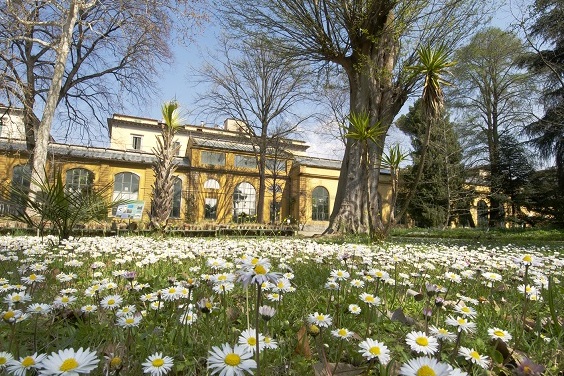 Florence: The Giardino dei Semplici  - Firenze | Secret World Trip Planner