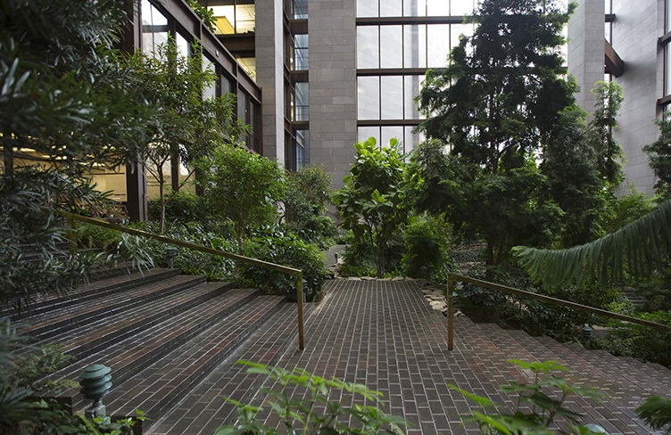 Nova York :Fundació Ford Atrium Jardí - New York | Secret World Trip Planner