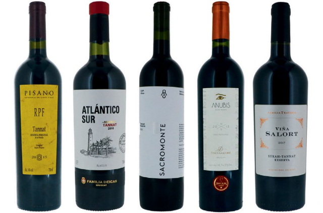 Goditi un buon Vino! - Montevideo Department | Secret World Trip Planner