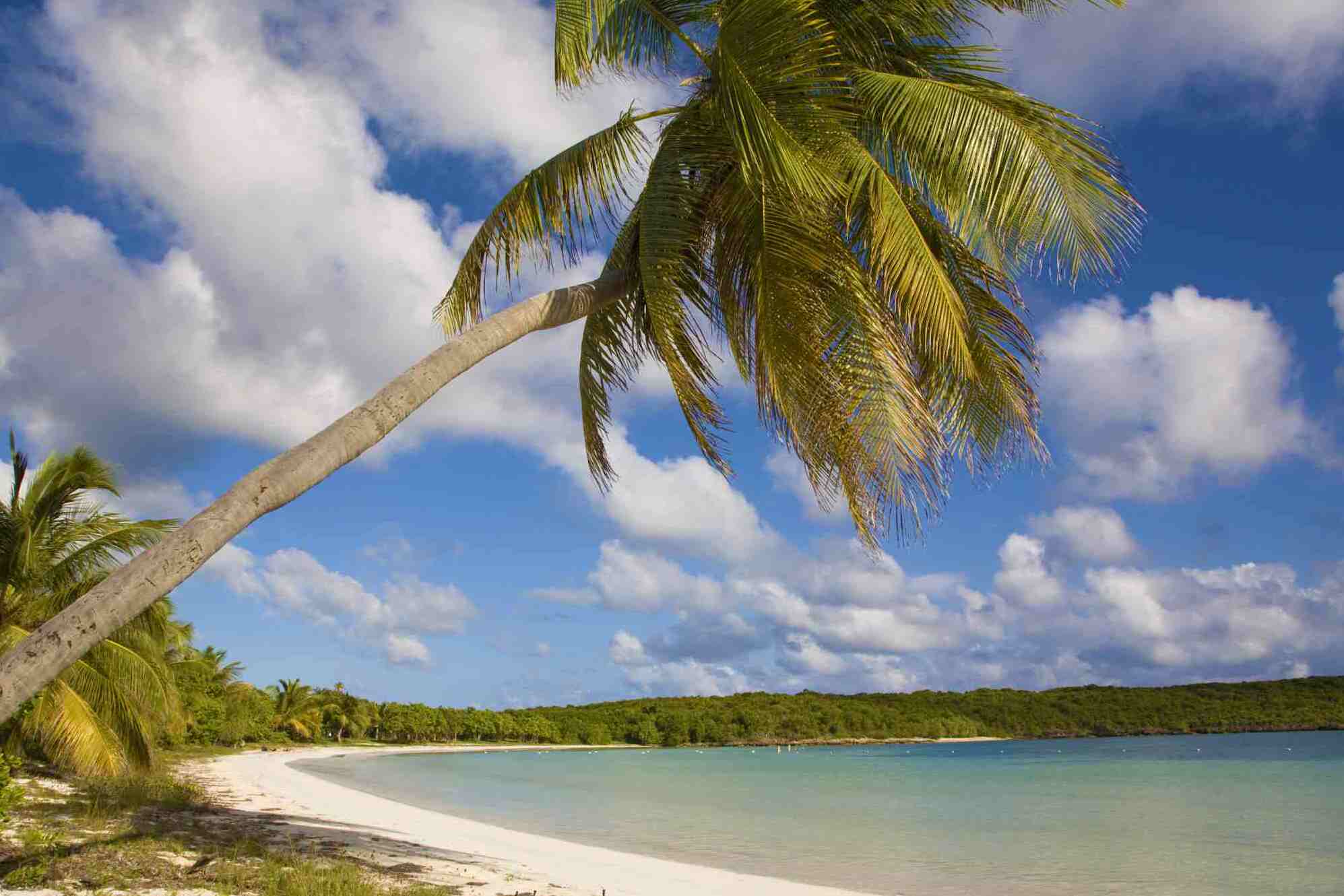 Isola di Vieques — Vieques
