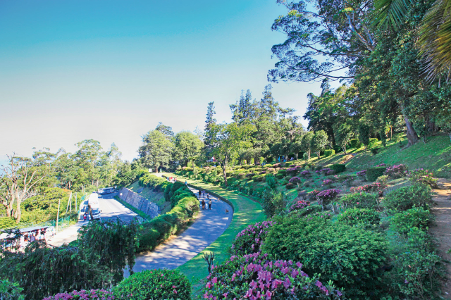 Hakgala Botanic Gardens - Distretto di Nuwara Eliya | Secret World Trip Planner