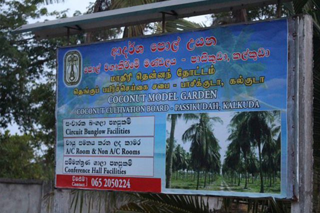Coconut Cultural Park — Kalkudah