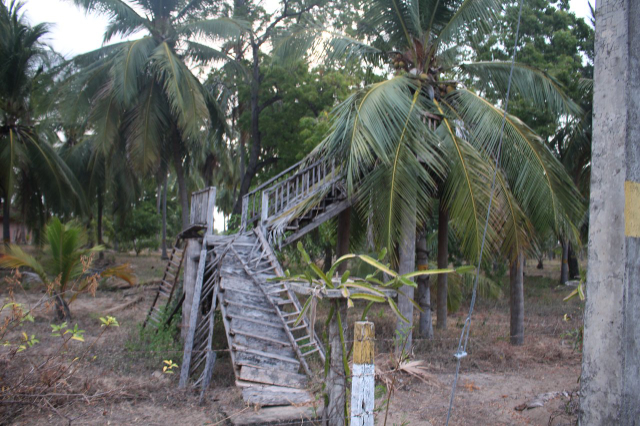Coconut Cultural Park - Kalkudah | Secret World Trip Planner