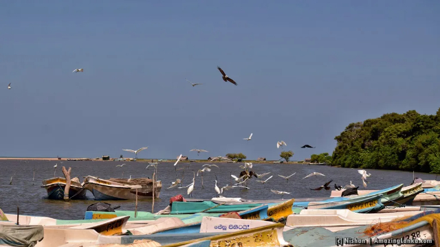 Kokkilai Lagoon - Kokkilai Lagoon | Secret World Trip Planner