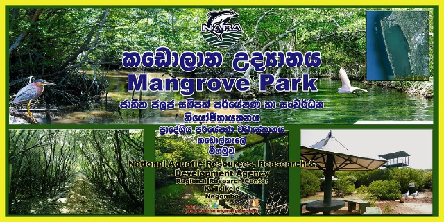 Nara Mangrove Garden - Negombo | Secret World Trip Planner