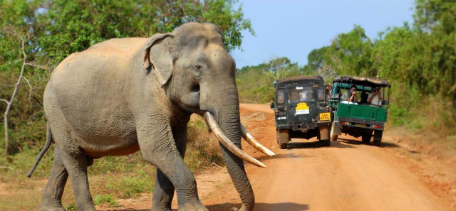Wilpattu National Park | Secret World Trip Planner