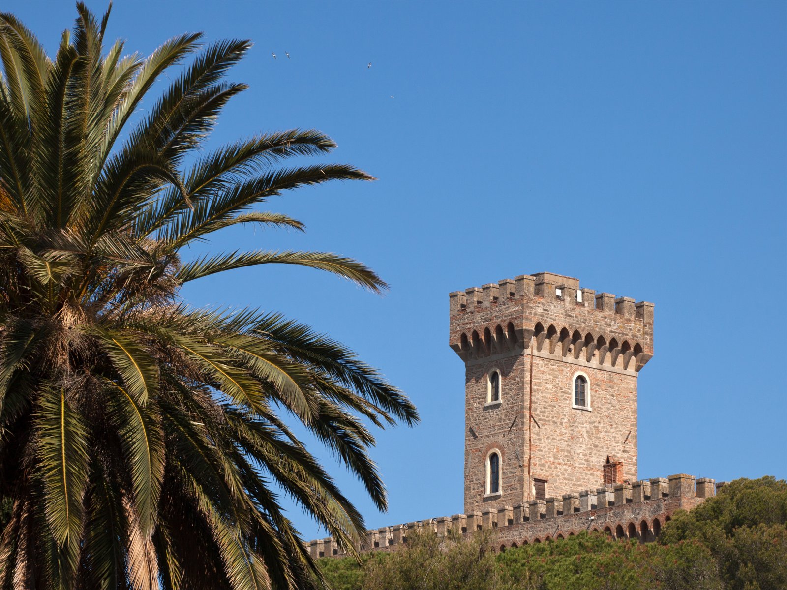 Pasquini Loss - Castiglioncello | Secret World Trip Planner