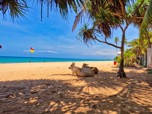 Nilaveli Beach - Nilaveli Beach | Secret World Trip Planner