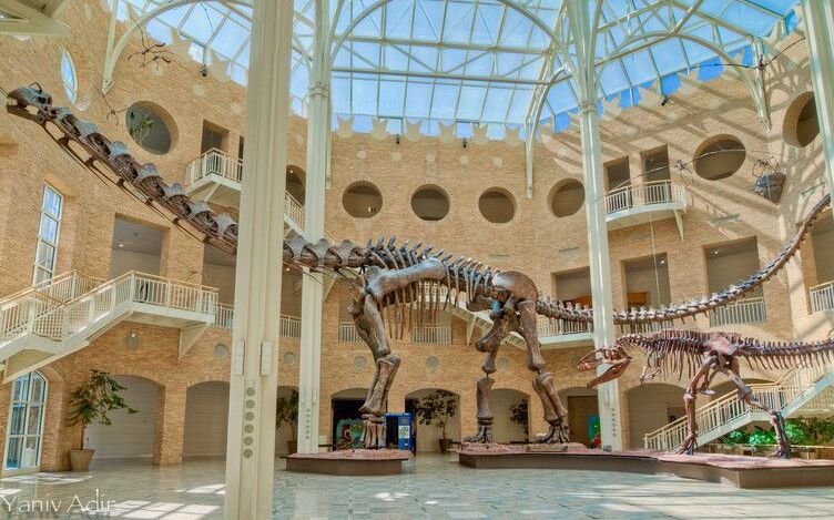 Fernbank Muzej istorije prirode - Atlanta | Secret World Trip Planner