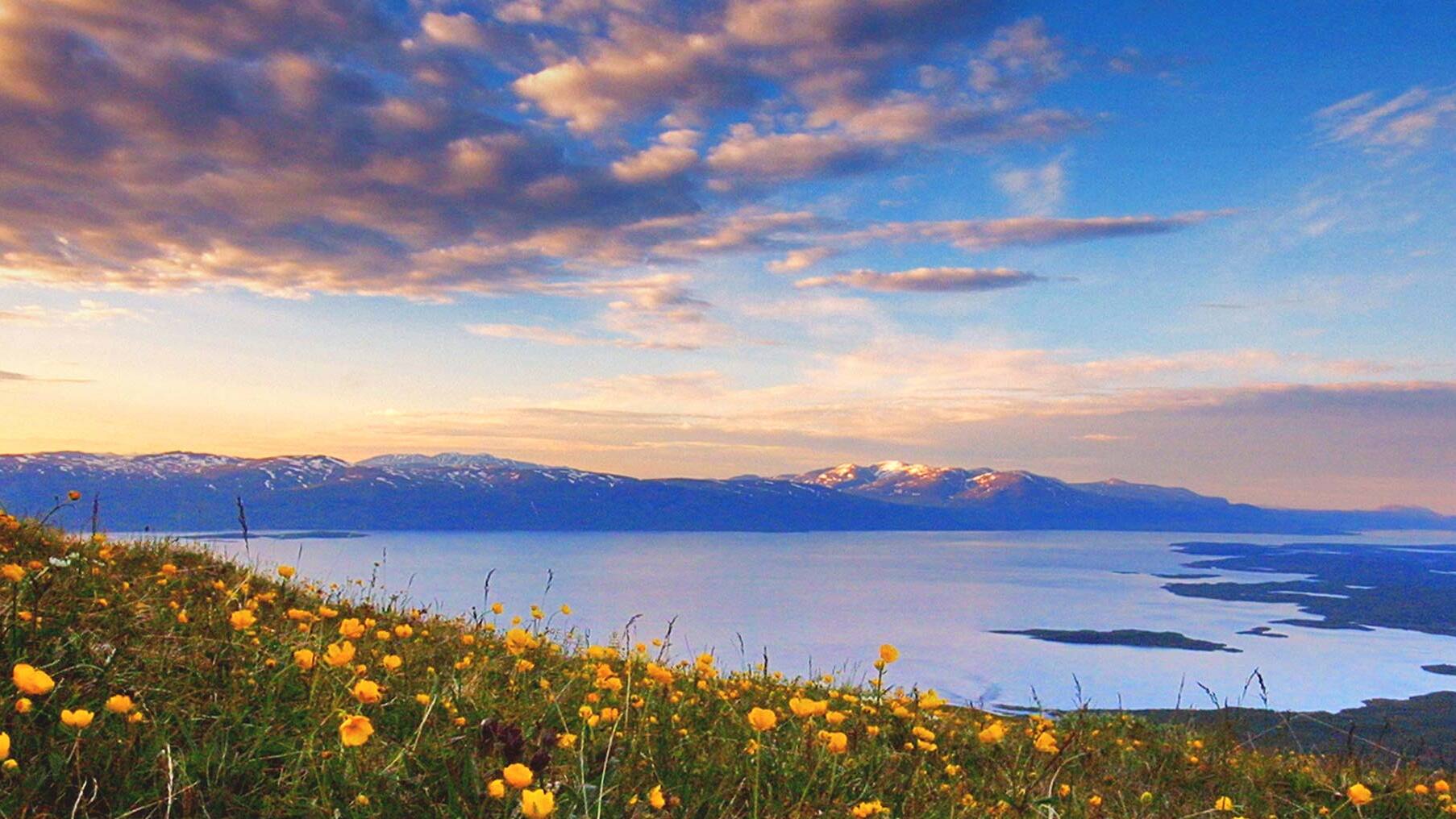 Lapland: Abisko National Park — 981 07 Abisko