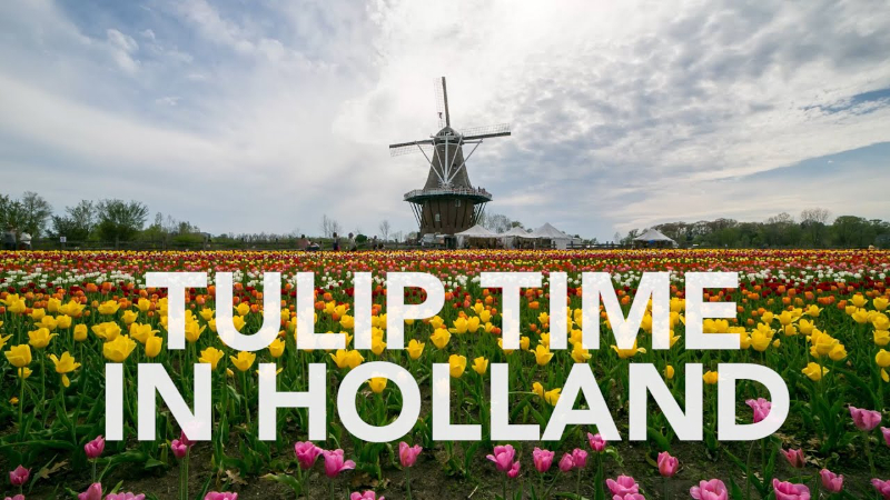جشنواره لاله ها - Holland | Secret World Trip Planner