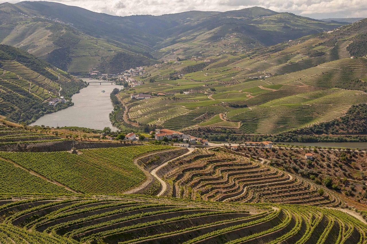 O vinho do porto é a alma de toda a região do Porto e Douro - Porto | Secret World Trip Planner
