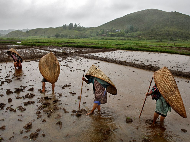 Det vådeste sted på jorden: Mawsynram - Mawsynram | Secret World Trip Planner