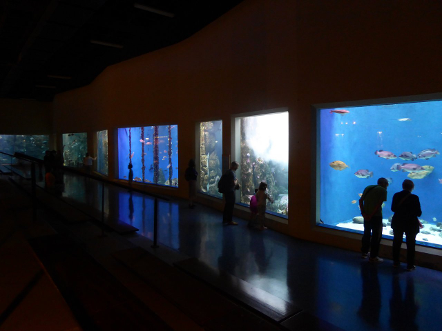 Finisterrae Aquarium - A Coruña | Secret World Trip Planner