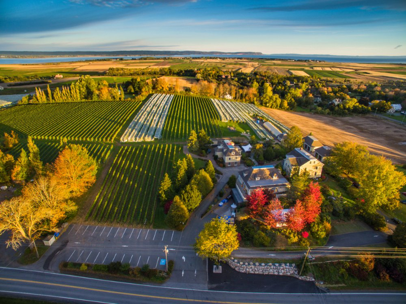 ພູມສັນຖານຂອງ Grand Pré - Grand Pré | Secret World Trip Planner