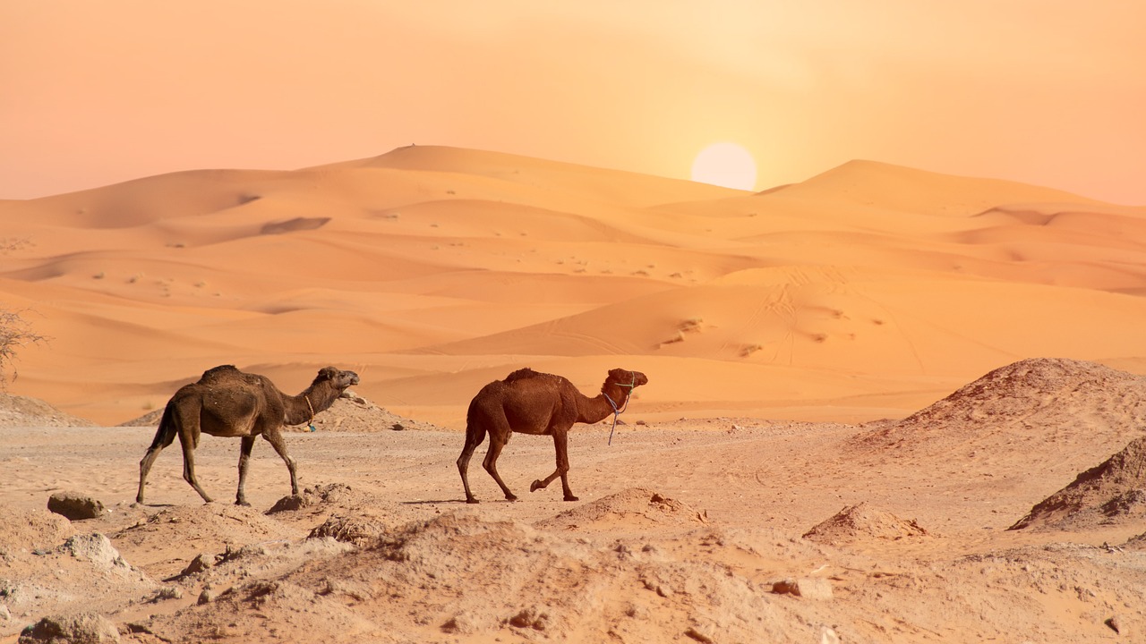 Marocco | Erg Chebbi dunes - Erg Chebbi | Secret World Trip Planner