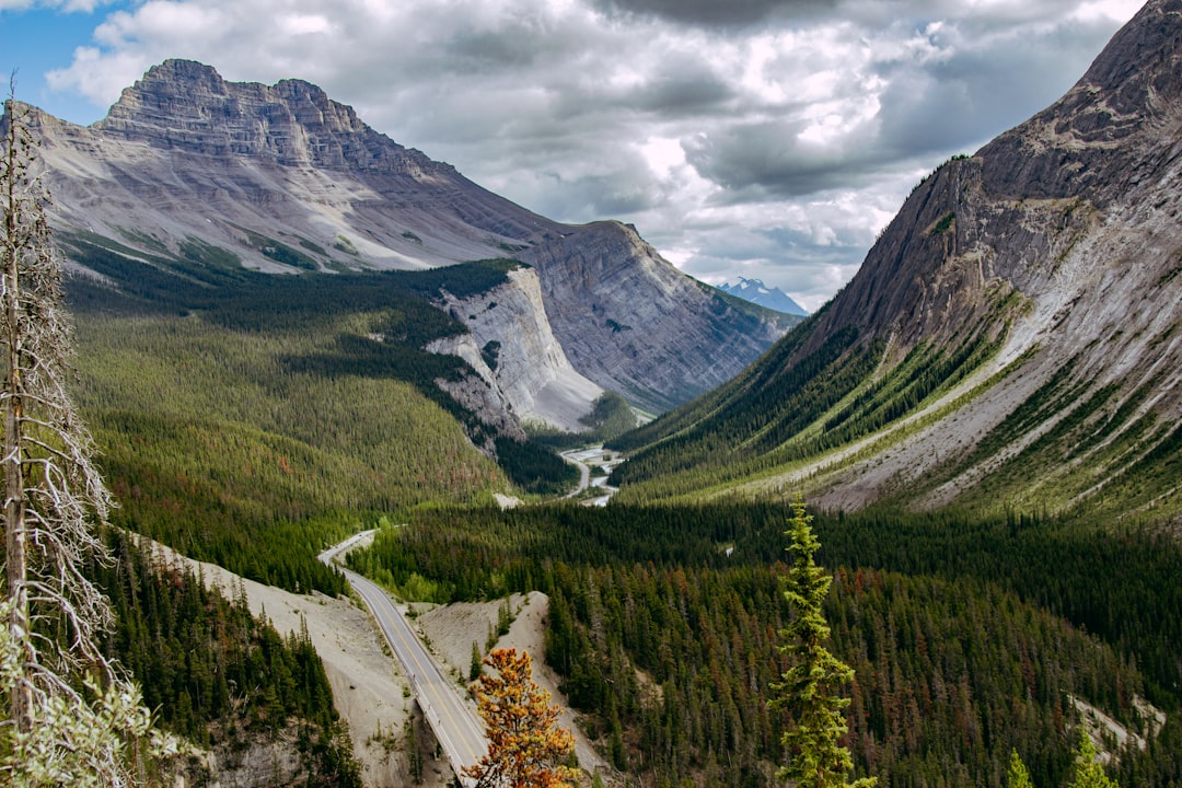 Icefields Parkway and The Beauty of Jasper National Park - Jasper | Secret World Trip Planner
