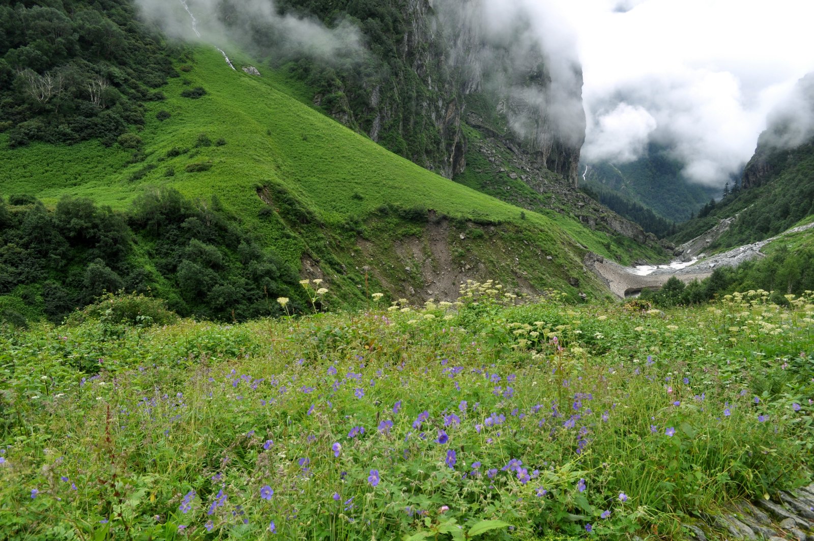 India | Valley of Flowers - Uttarakhand 246443 | Secret World Trip Planner