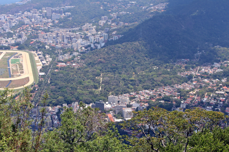 Botanički vrt, Rio de Janeiro - Jardim Botânico | Secret World Trip Planner