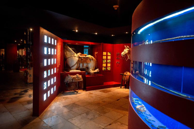 Contemporary Art Museum of Ceará - MAC - Fortaleza - CE | Secret World Trip Planner