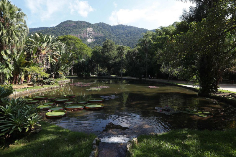 里约热内卢植物园（Jardim Botanico）。 - Jardim Botânico | Secret World Trip Planner