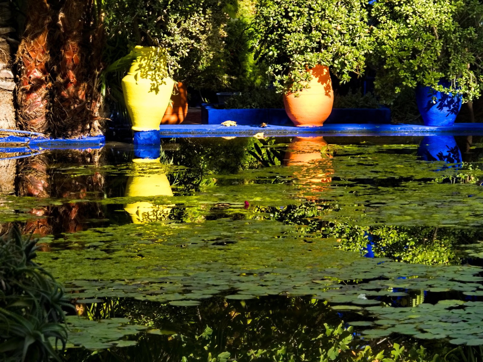 Yves St Laurent და Piere Bergé და Jardin Majorelle - Marrakech | Secret World Trip Planner