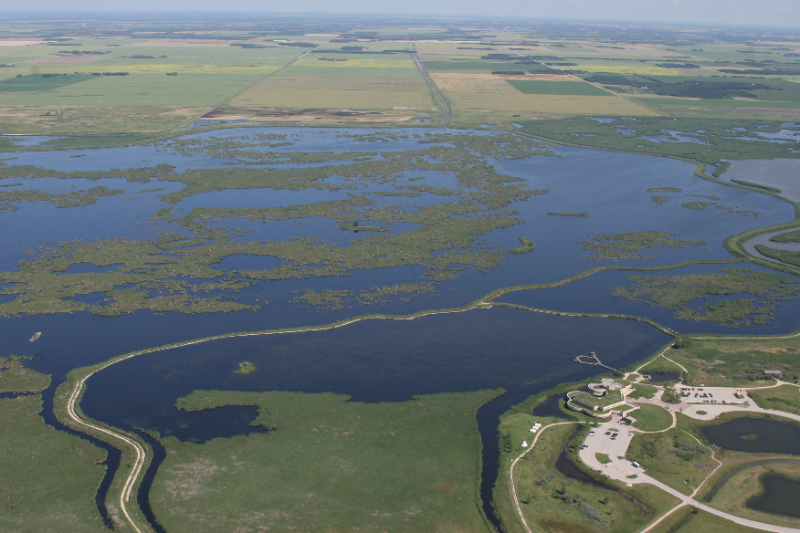 Il miglior bird-watching in Manitoba — Rockwood