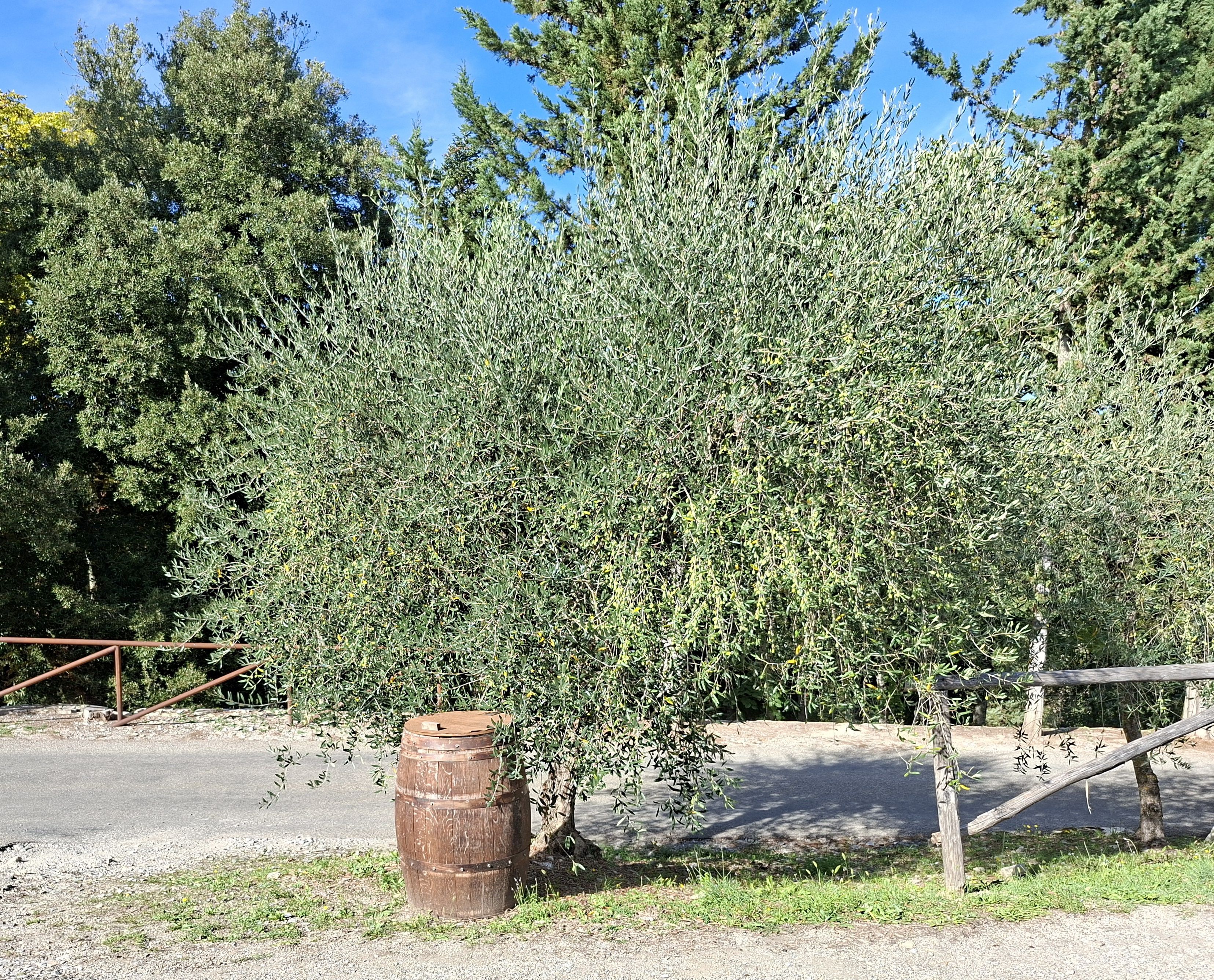 Antzerkia gaztelua Meleto - Gaiole In Chianti | Secret World Trip Planner