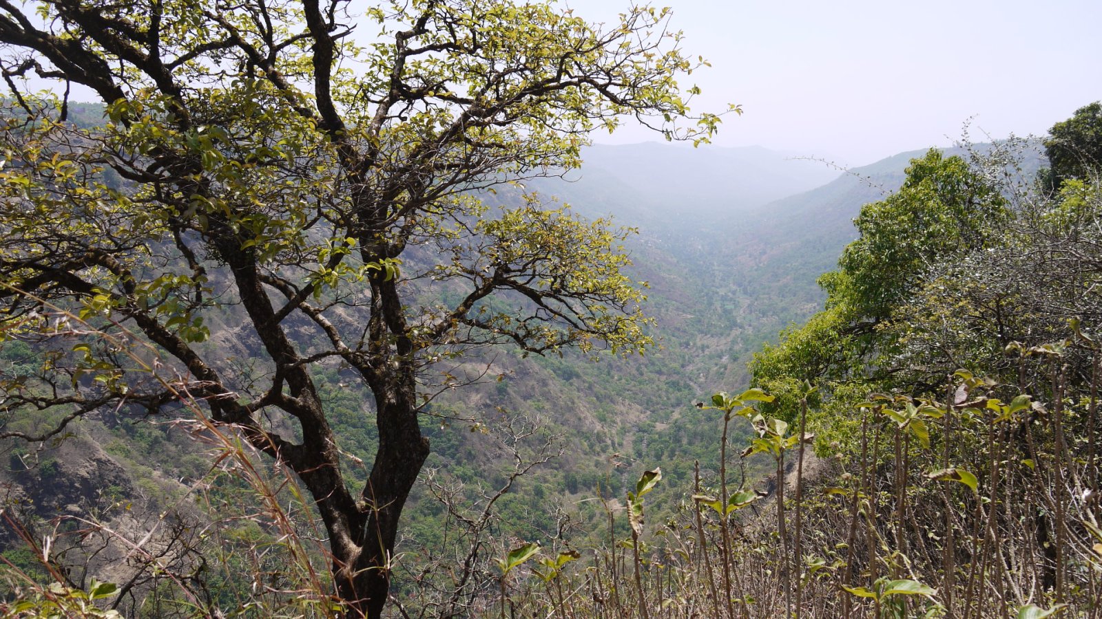 Lingmala Easanna - Bhekavali | Secret World Trip Planner