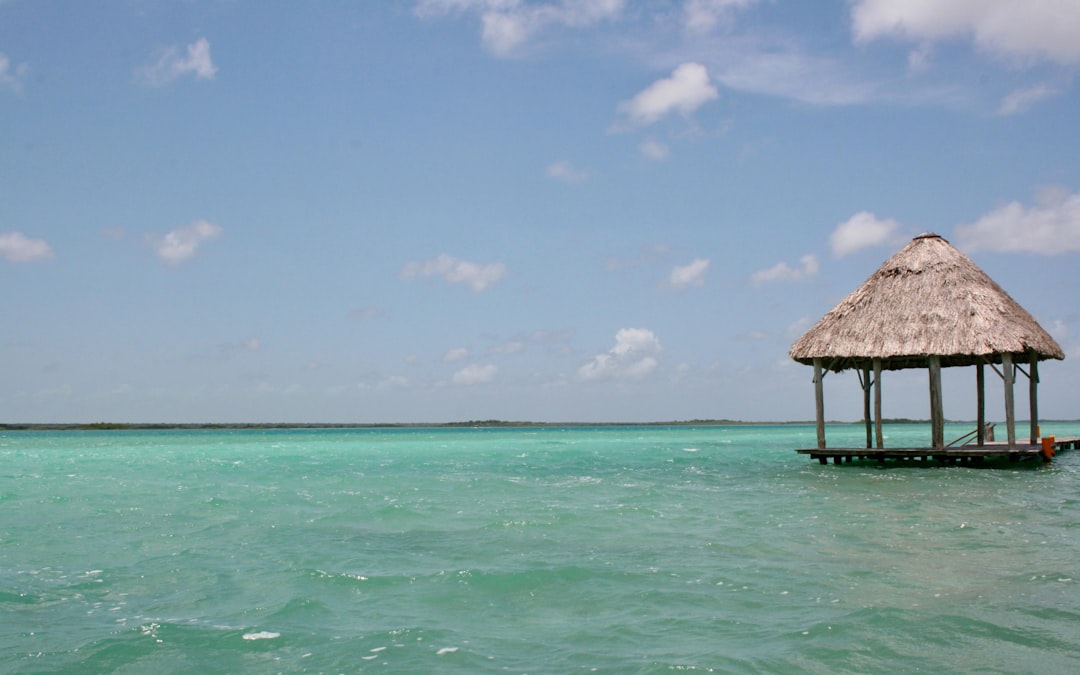 Lagoon Cod - Laguna di Bacalar | Secret World Trip Planner