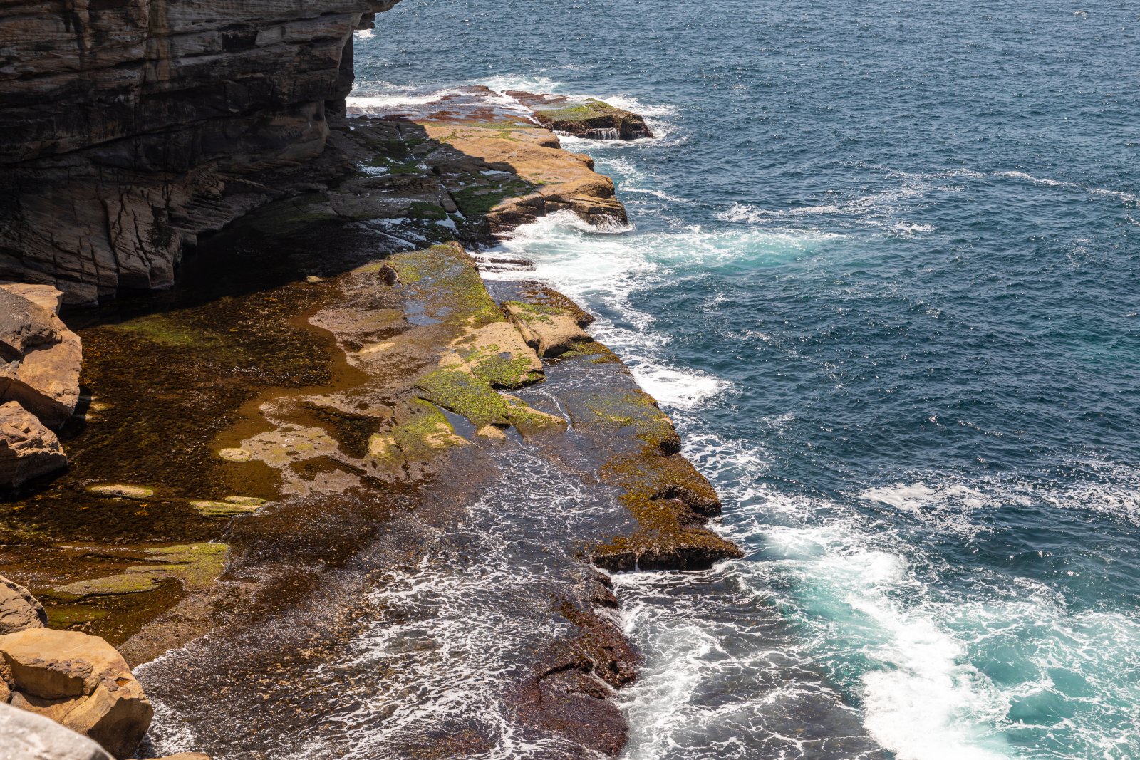 Föderatsiooni Kalju Jalutuskäik - Watsons Bay | Secret World Trip Planner