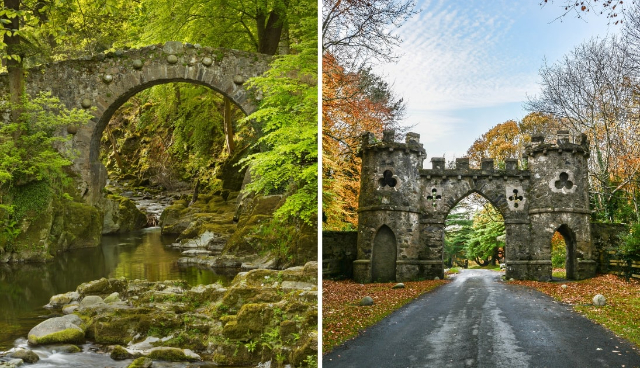 Tollymore Forest Park - Bryansford Rd | Secret World Trip Planner