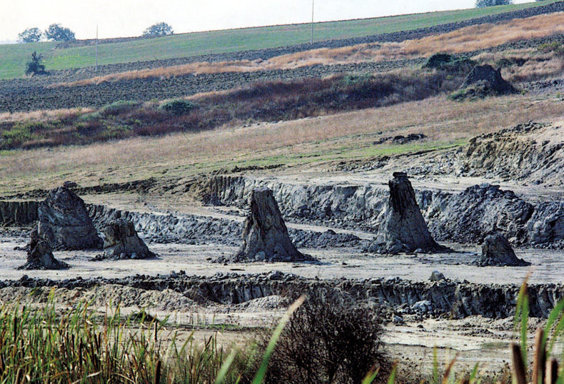 Dunarobba fosil ormanı - 46 | Secret World Trip Planner