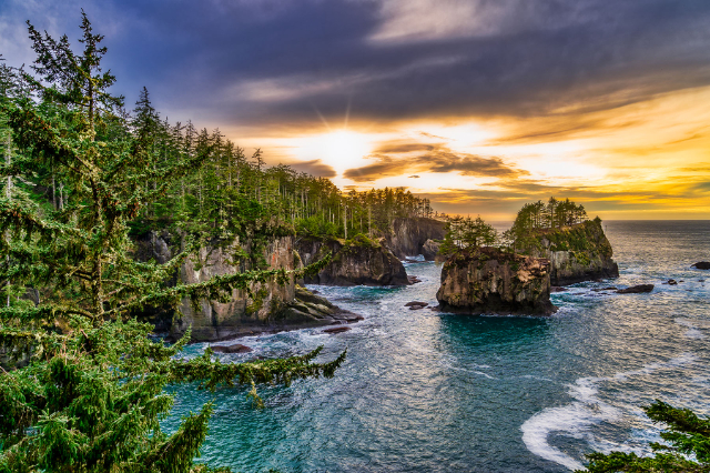 Cape Flattery - Cape Flattery Trail | Secret World Trip Planner