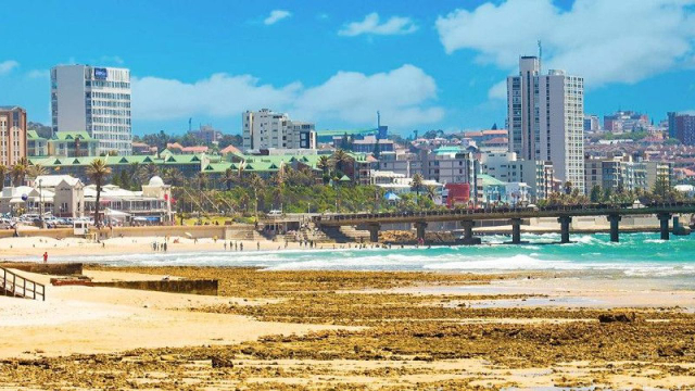 PORT ELIZABETH - Gqeberha | Secret World Trip Planner