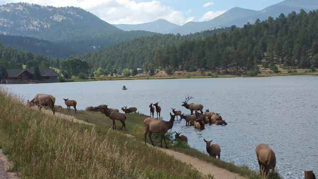 Vert d'eau - Evergreen | Secret World Trip Planner
